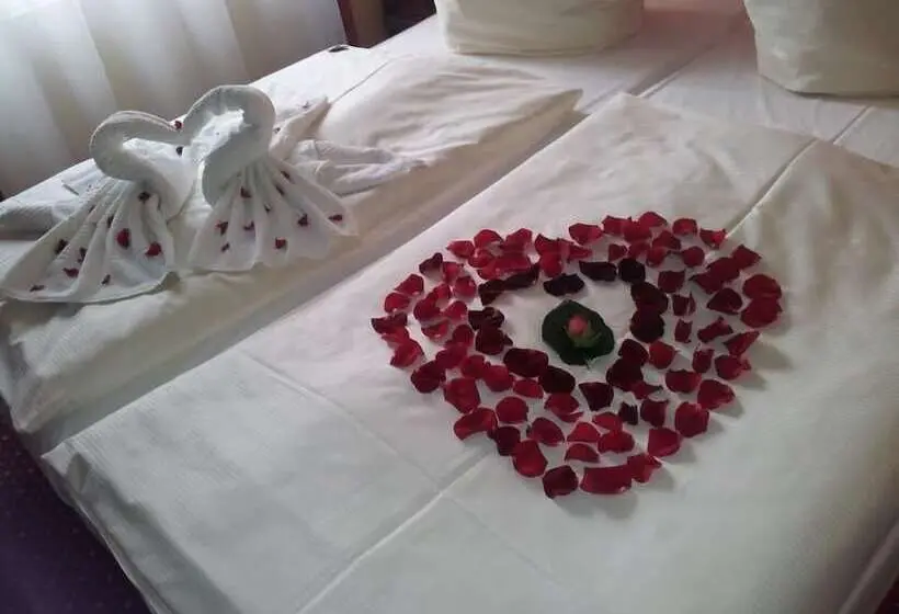 هتل PLAZA Premium Salzburg