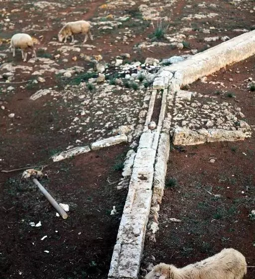 교외 호텔 Agroturismo Matxani Gran