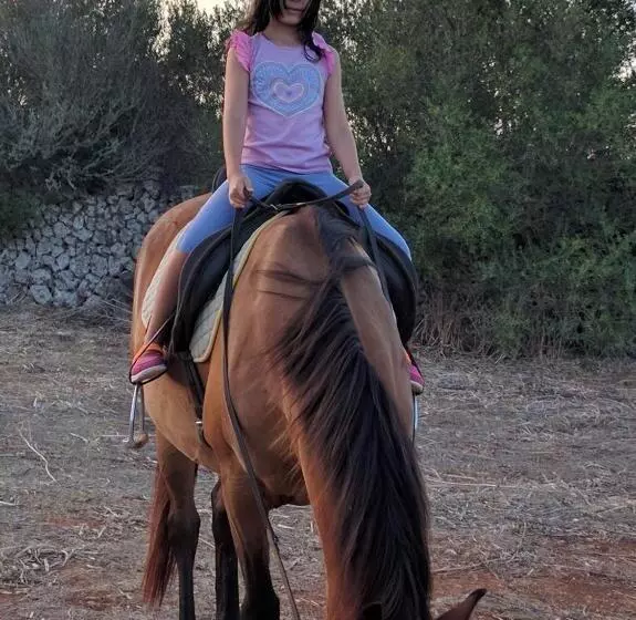 교외 호텔 Agroturismo Matxani Gran