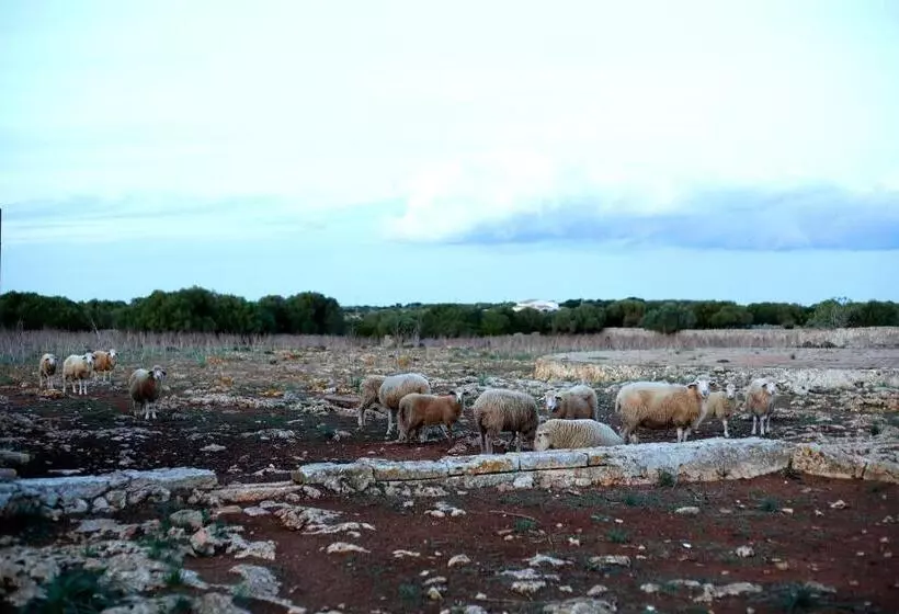 교외 호텔 Agroturismo Matxani Gran