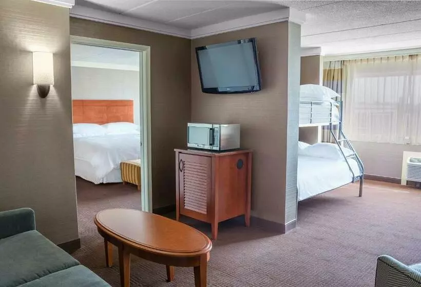 Otel Sheraton Niagara Falls