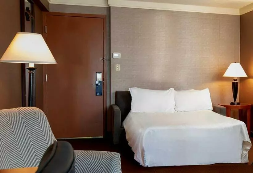 Otel Sheraton Niagara Falls