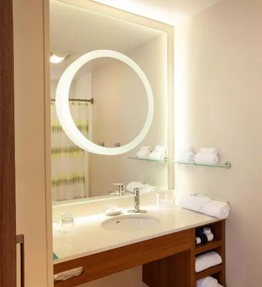 هتل Springhill Suites Wenatchee