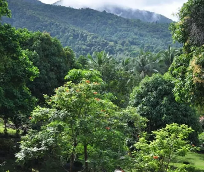 Buritara Resort And Spa, Phangan