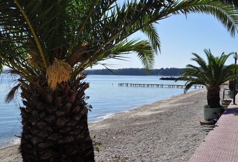 Comfy Hostel Studios