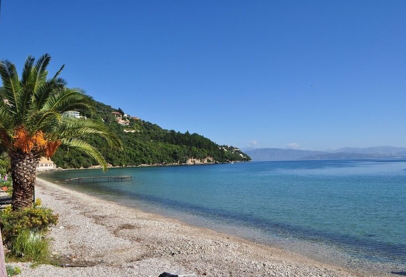 Comfy Hostel Studios