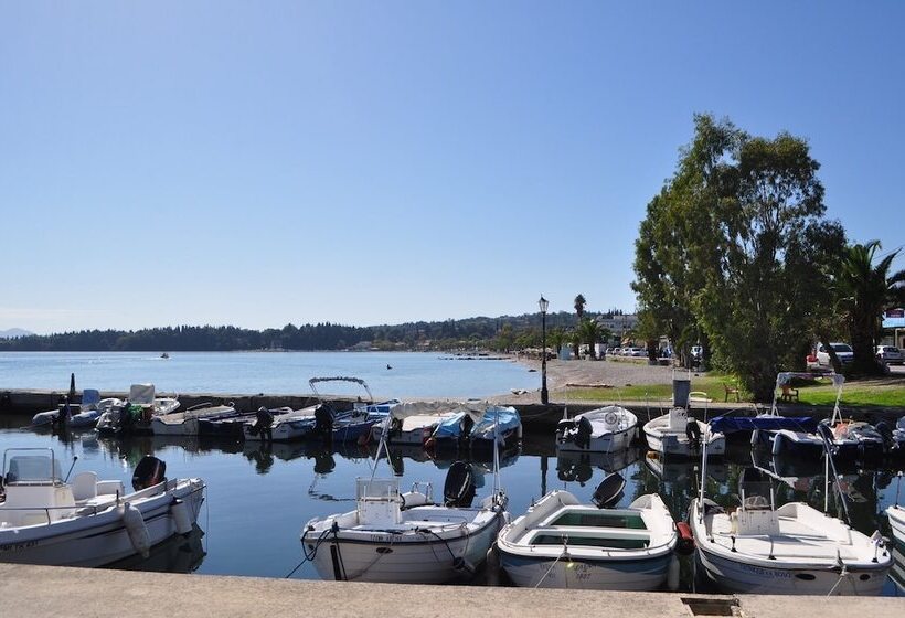 Comfy Hostel Studios