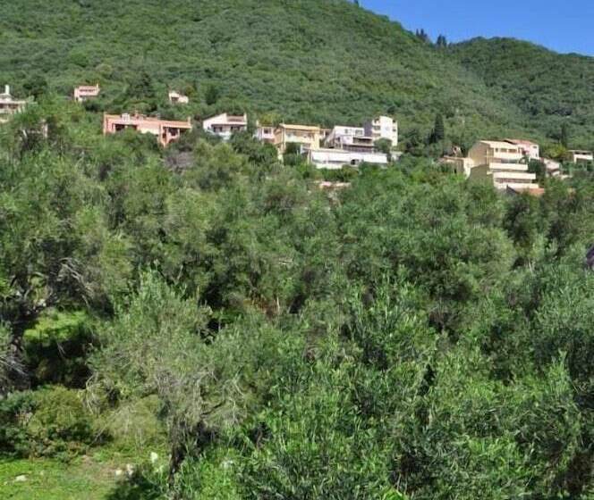 Comfy Hostel Studios