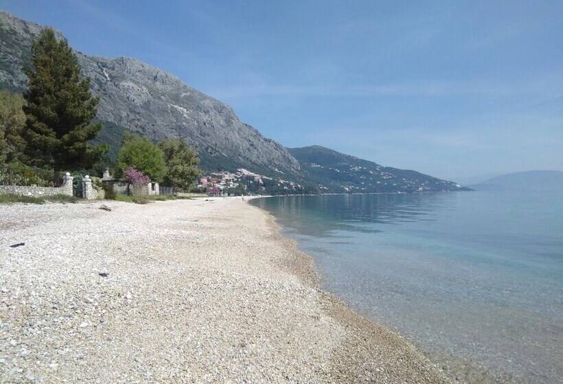 Comfy Hostel Studios