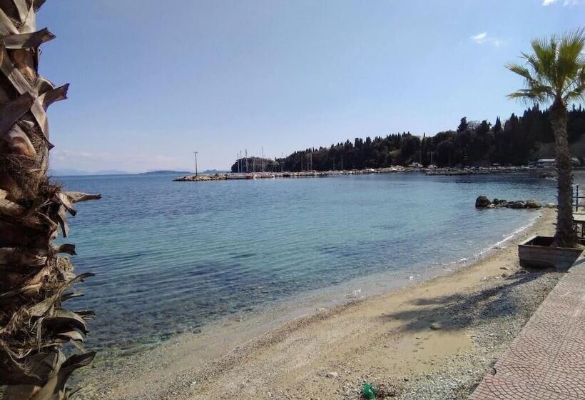 Comfy Hostel Studios