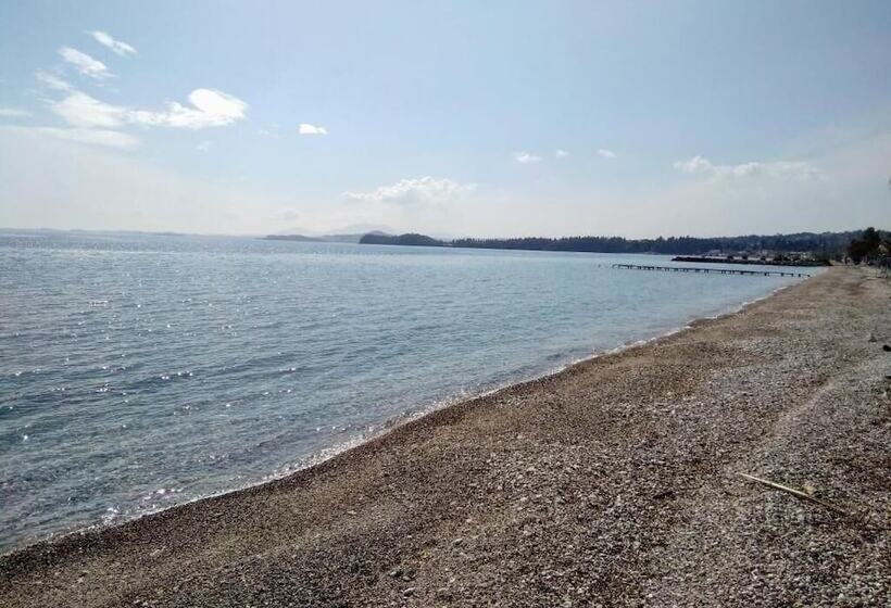 Comfy Hostel Studios