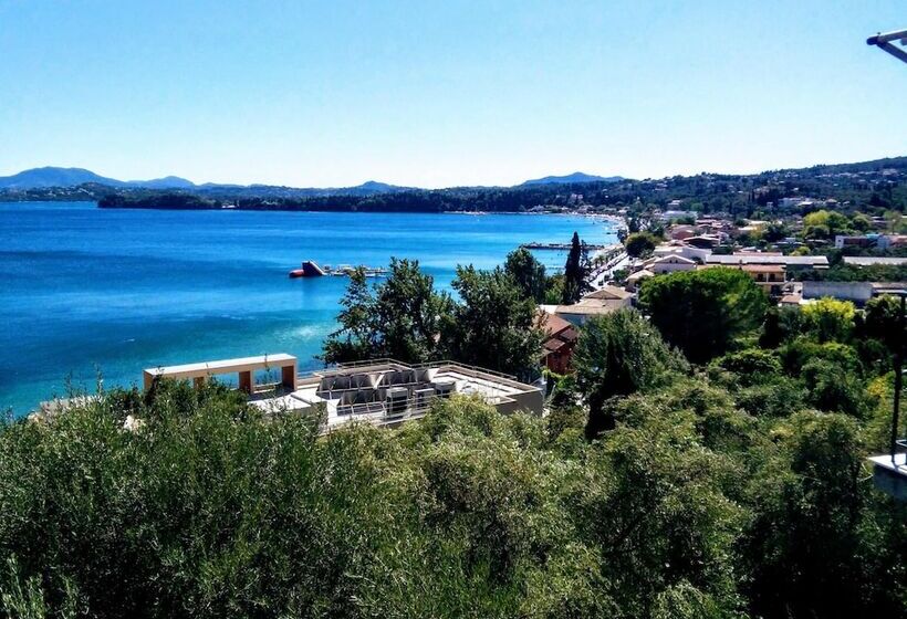 Comfy Hostel Studios