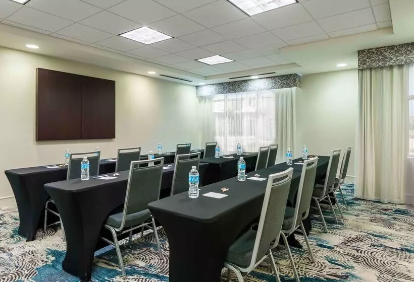 Homewood Suites By Hilton Tampa Airport   Westshore