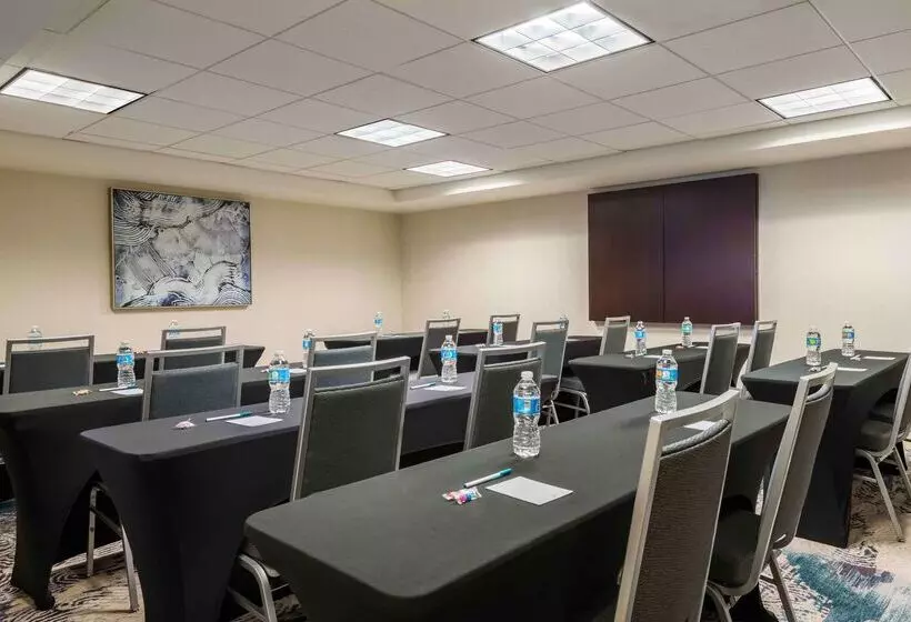 Homewood Suites By Hilton Tampa Airport   Westshore