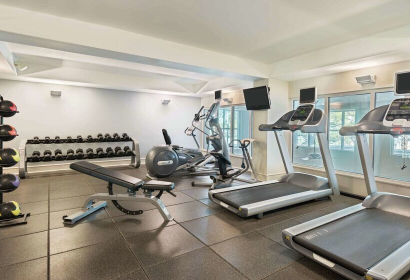 Homewood Suites By Hilton Tampa Airport   Westshore