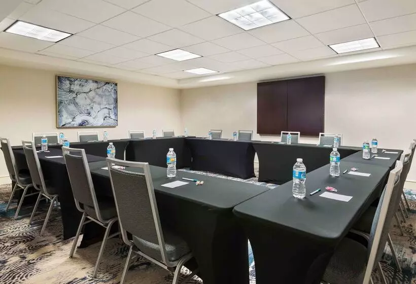 Homewood Suites By Hilton Tampa Airport   Westshore