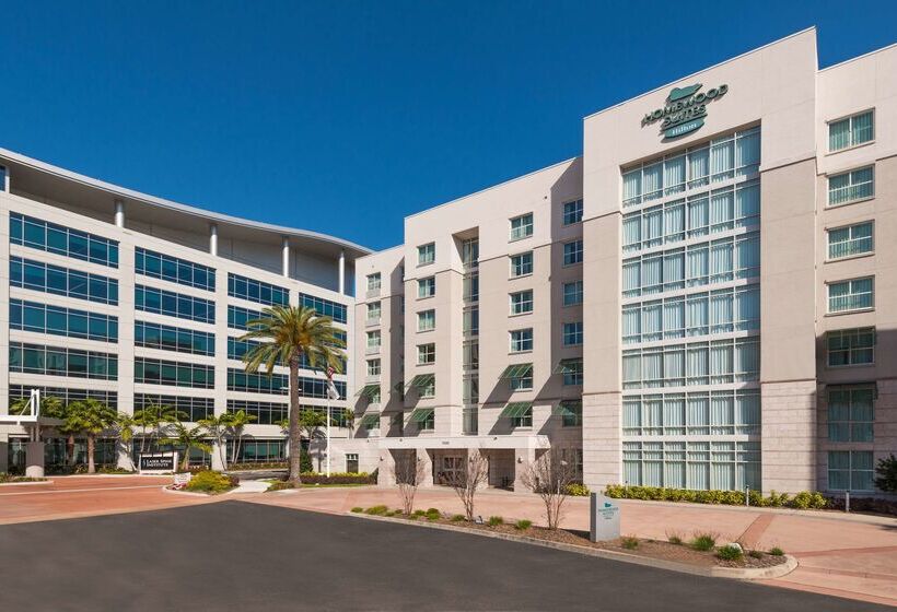 Homewood Suites By Hilton Tampa Airport   Westshore