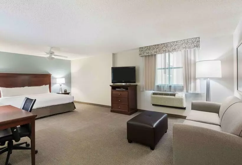 Homewood Suites By Hilton Tampa Airport   Westshore