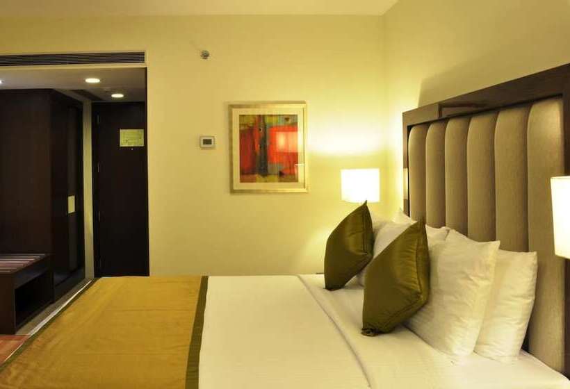 Отель Adarsh Hamilton