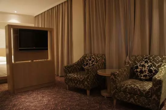 Hotelli Baron Business