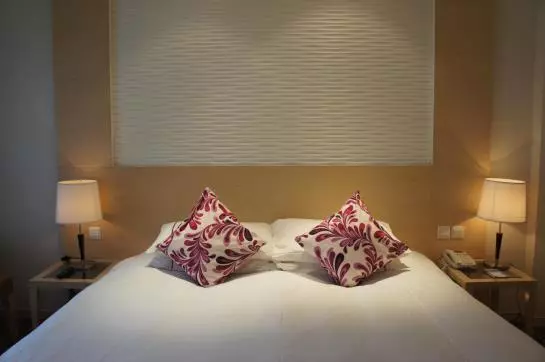 Hotelli Baron Business