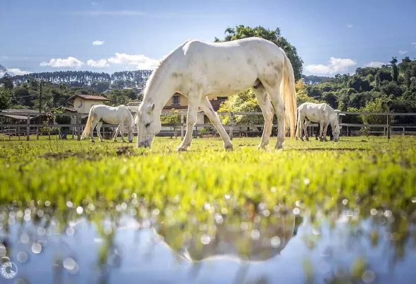 فندق Fazenda Hípica Atibaia