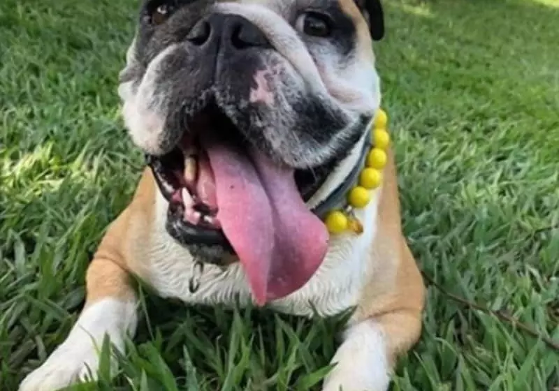 فندق Fazenda Hípica Atibaia