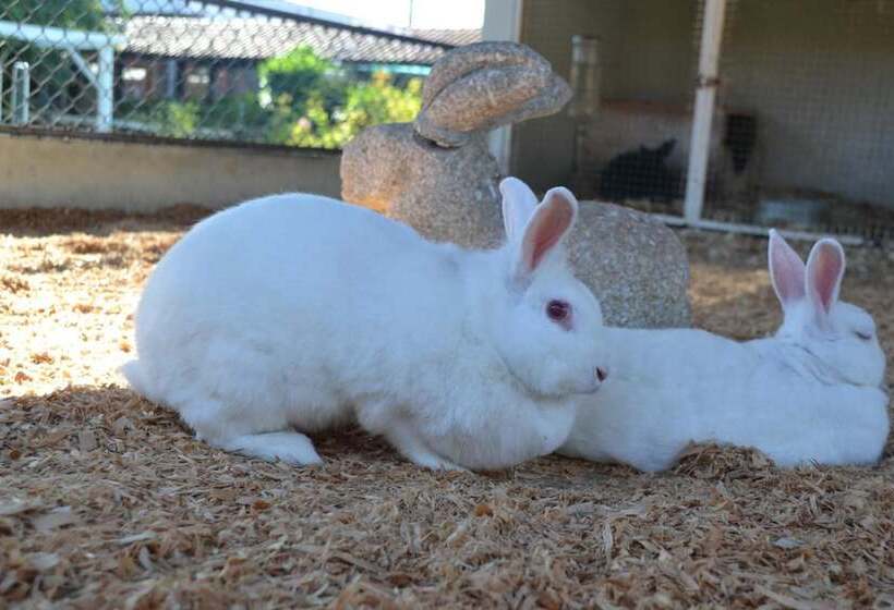 호텔 Fazenda Hípica Atibaia