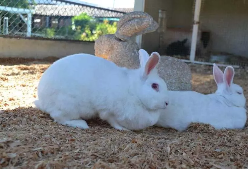 فندق Fazenda Hípica Atibaia