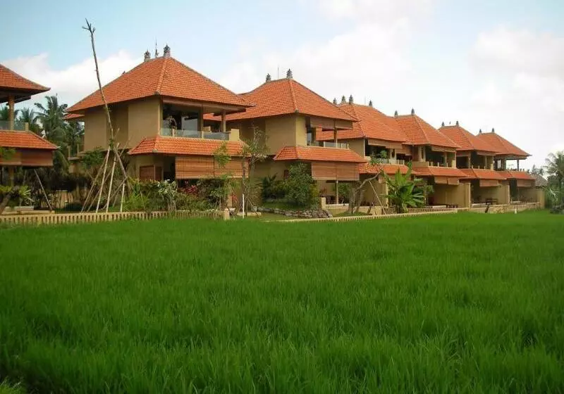 Green Field Hotel And Restaurant