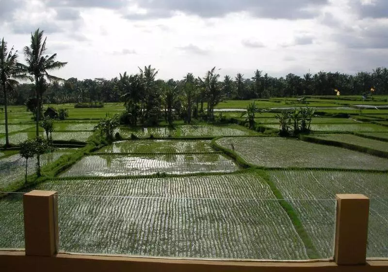 Green Field Hotel And Restaurant