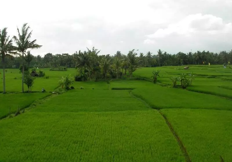 Green Field Hotel And Restaurant