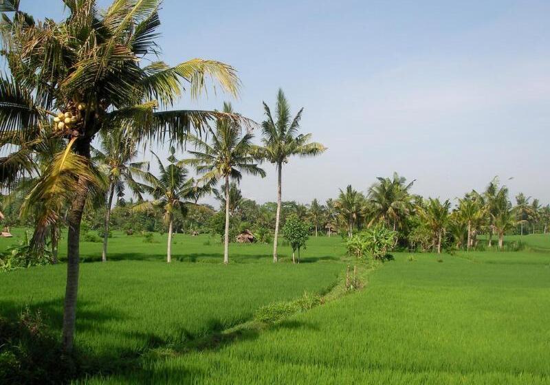 Green Field Hotel And Restaurant