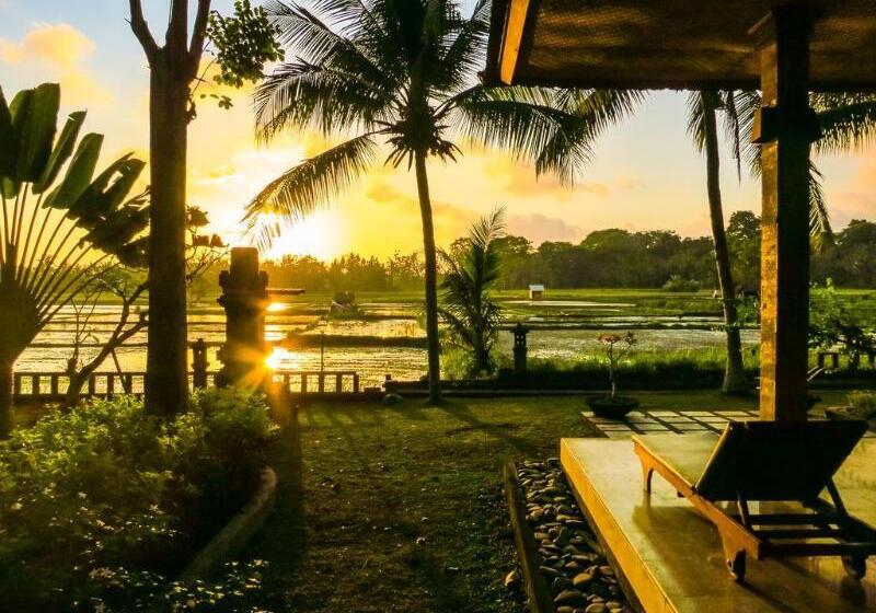 Green Field Hotel And Restaurant