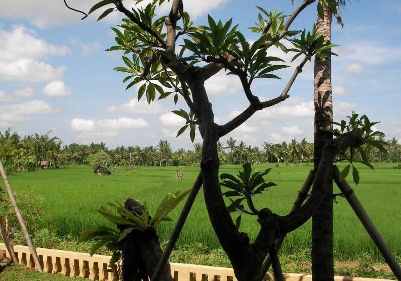 Green Field Hotel And Restaurant