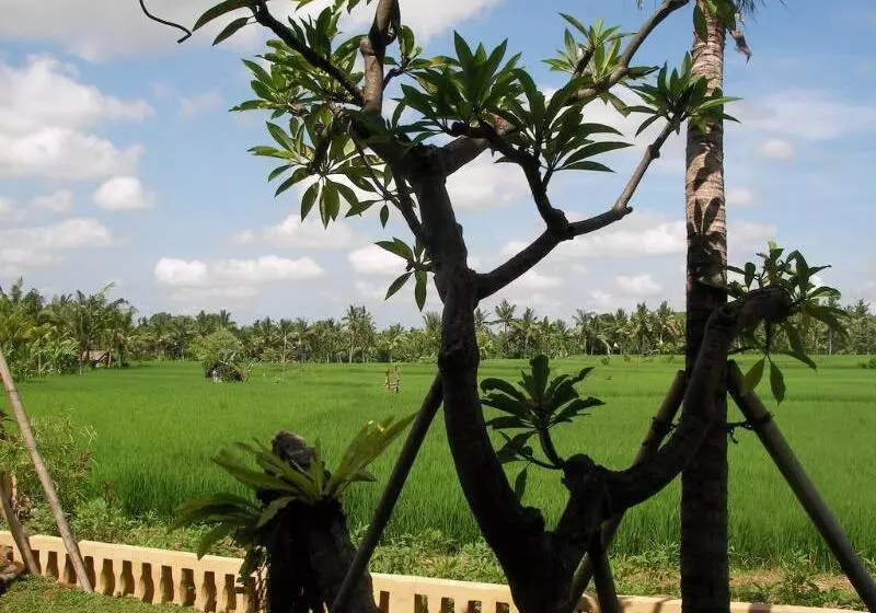 Green Field Hotel And Restaurant