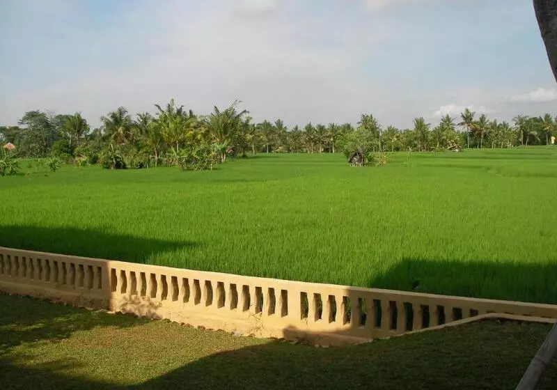 Green Field Hotel And Restaurant