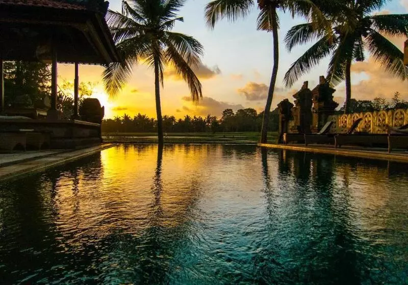 Green Field Hotel And Restaurant