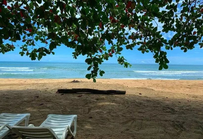 酒店 Almonds & Corals Boutique