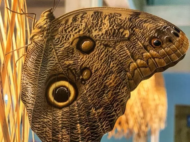 酒店 Almonds & Corals Boutique