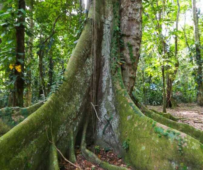 ホテル Almonds & Corals Boutique