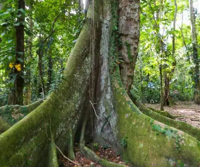 酒店 Almonds & Corals Boutique