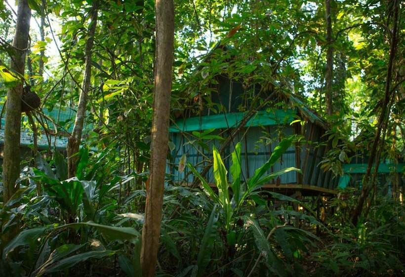 ホテル Almonds & Corals Boutique