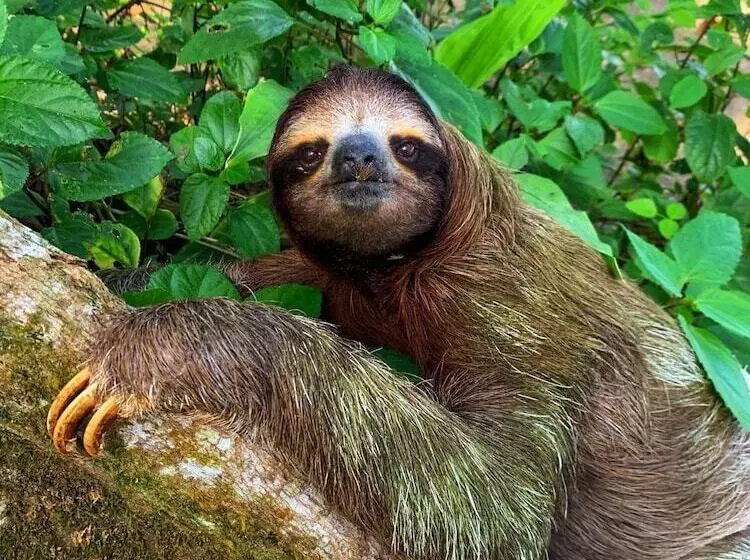 酒店 Almonds & Corals Boutique