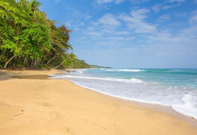 ホテル Almonds & Corals Boutique