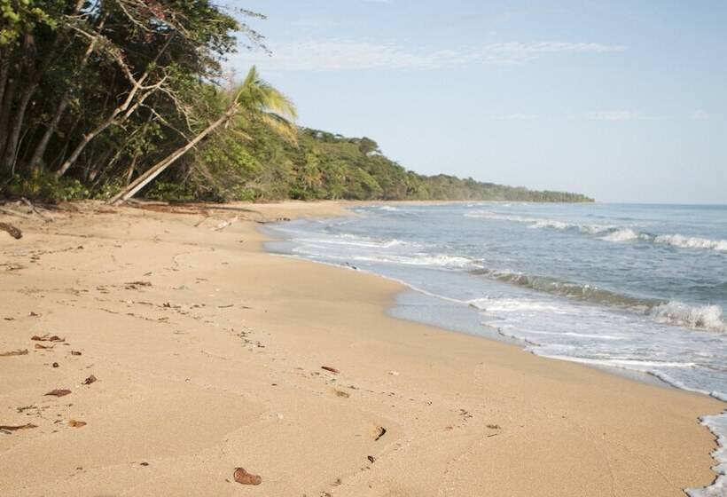 ホテル Almonds & Corals Boutique