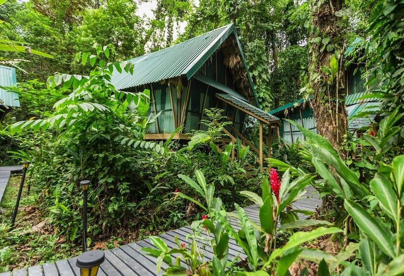 ホテル Almonds & Corals Boutique