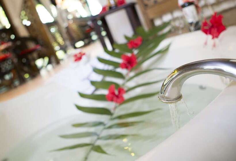 ホテル Almonds & Corals Boutique