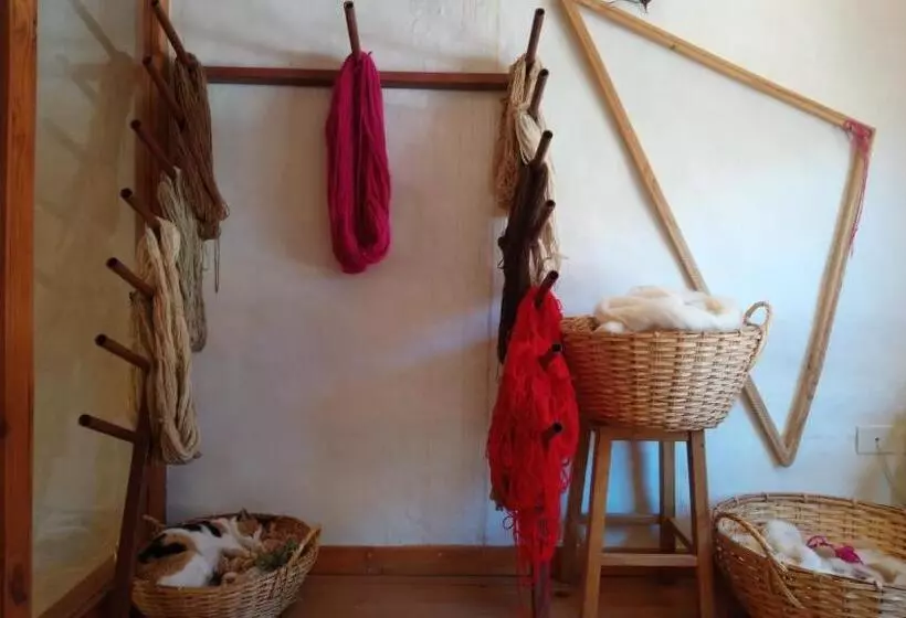 Отель Del Amauta Hosteria