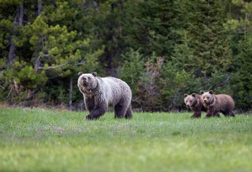 هتل Four Seasons Resort Jackson Hole
